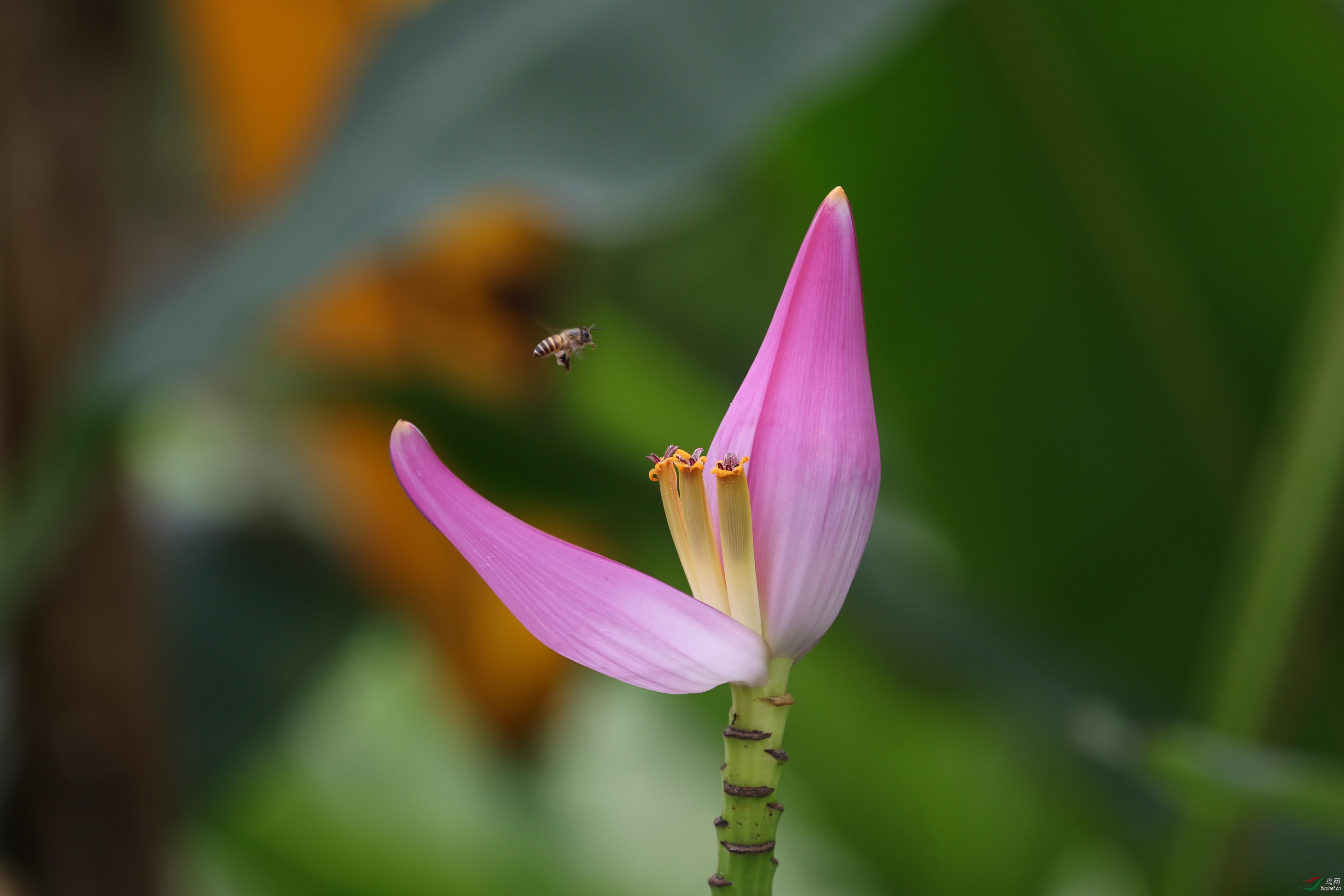 0R9A7495.JPG