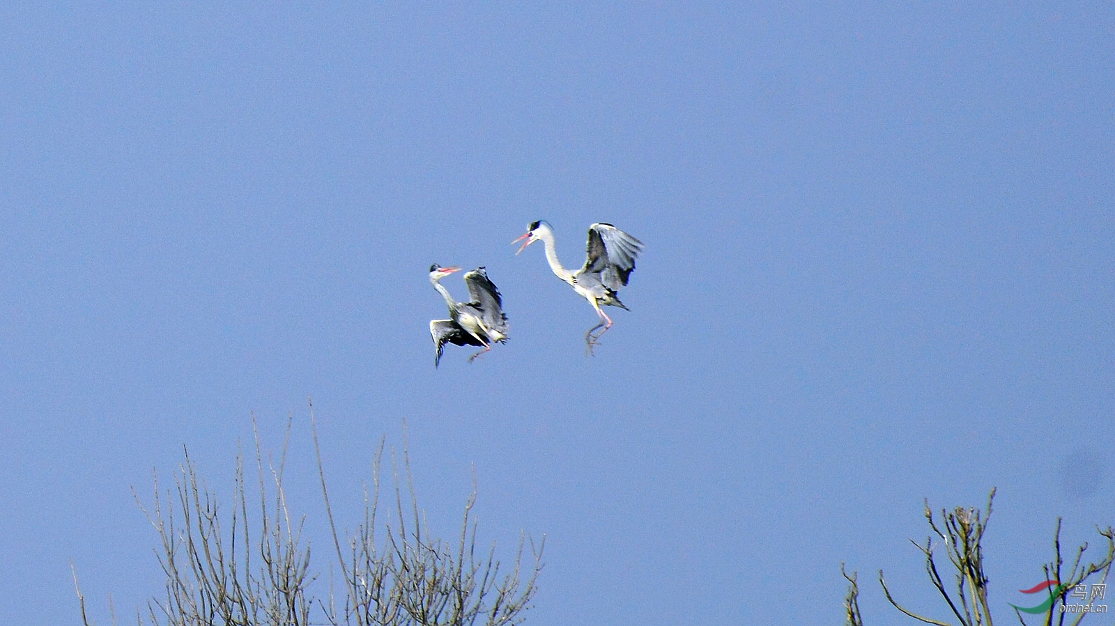 DSC_9015.JPG