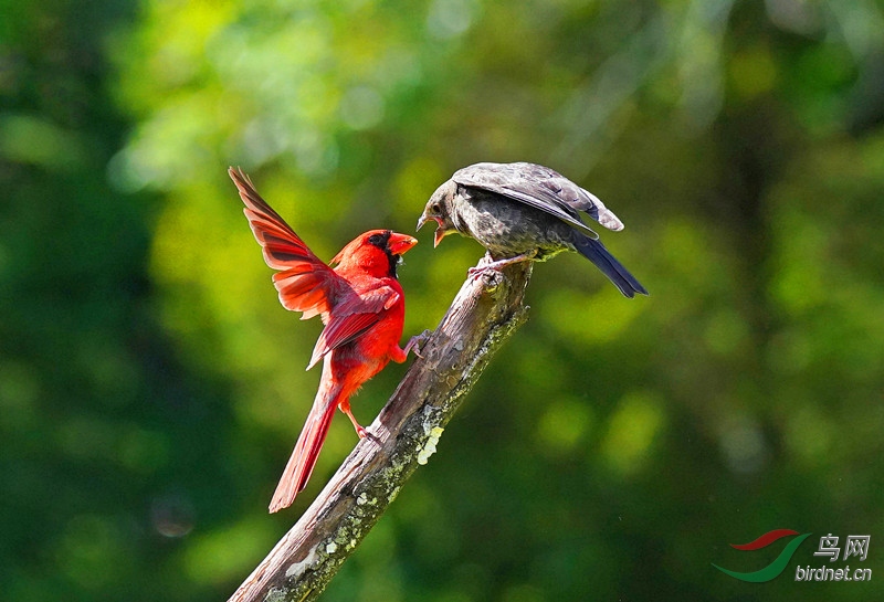 ���Һ�����