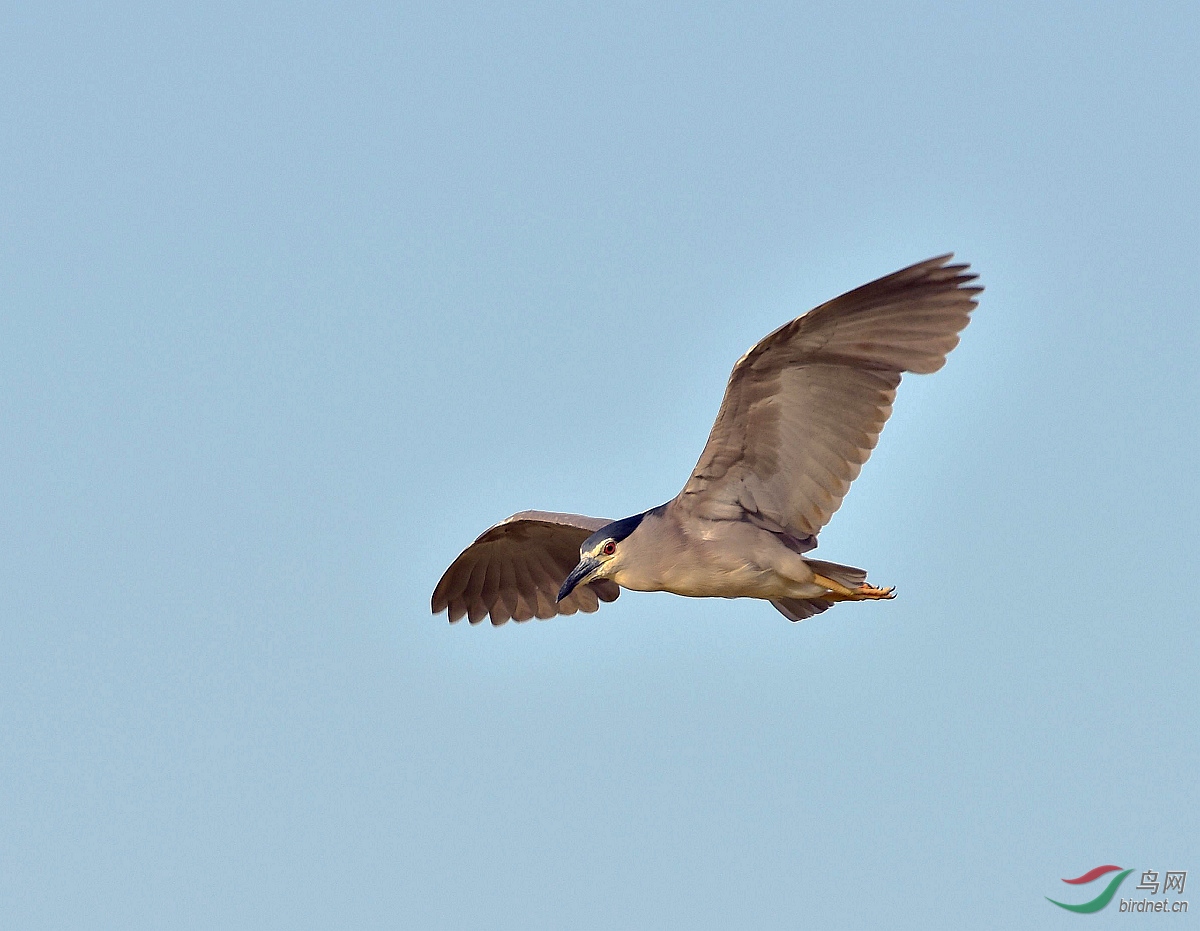 D8I_2645.jpg