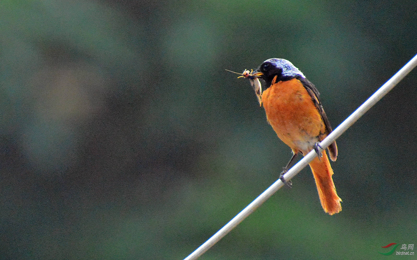 DSC_9049.JPG