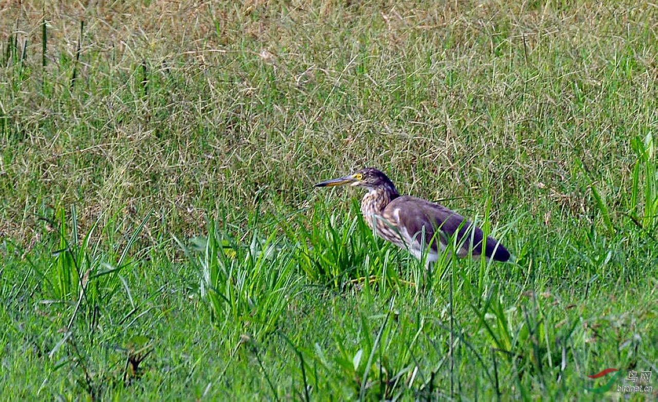 DSC_7147.JPG