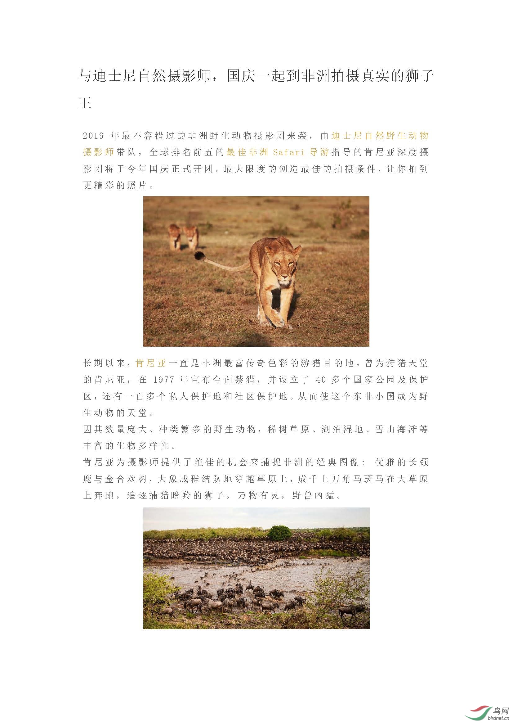 2019 ������  ���ʿ����Ȼ��Ӱʦ������һ�𵽷���������ʵ��ʨ����_ҳ��_01.jpg