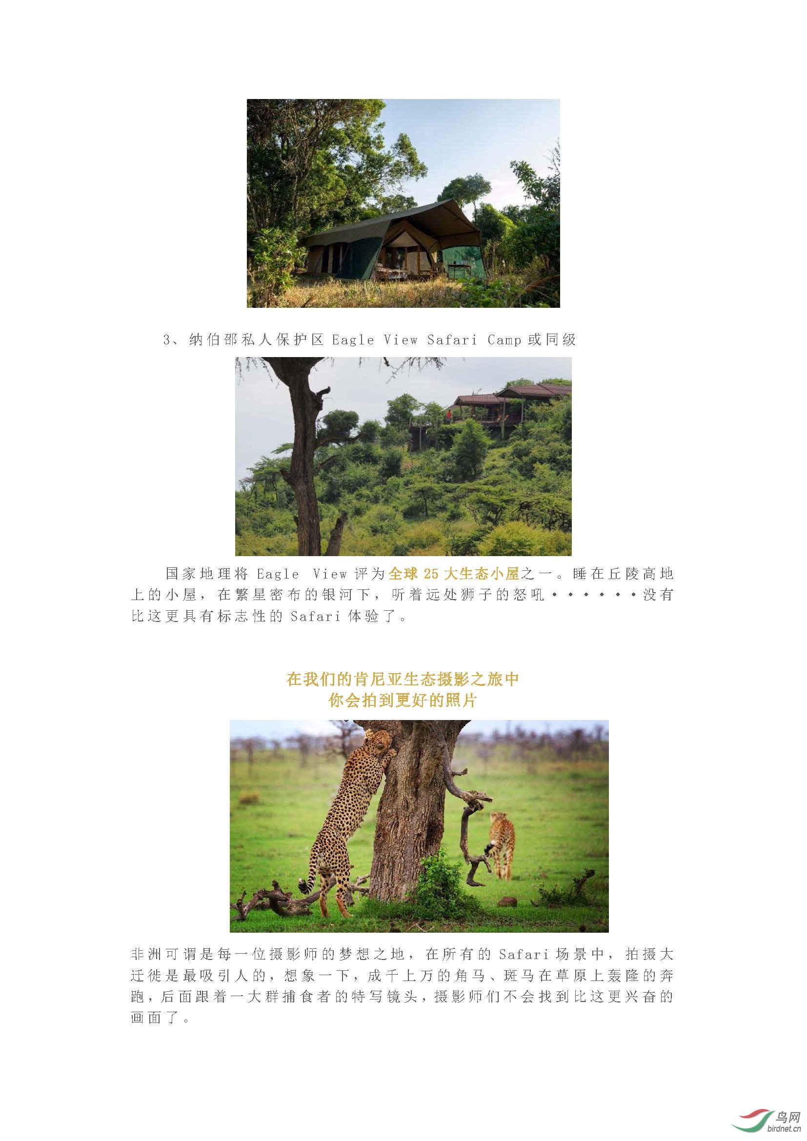 2019 ������  ���ʿ����Ȼ��Ӱʦ������һ�𵽷���������ʵ��ʨ����_ҳ��_09.jpg