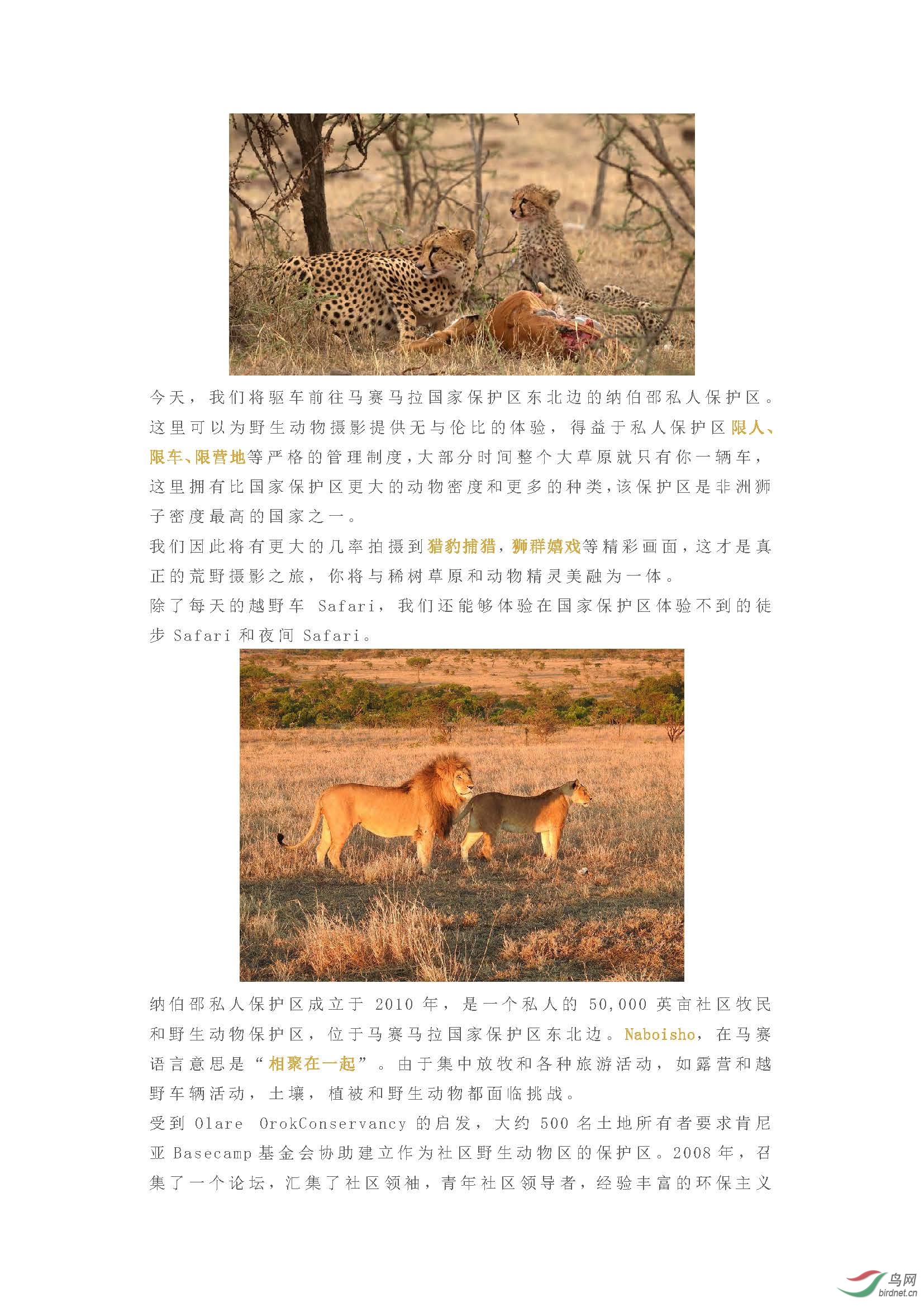 2019 ������  ���ʿ����Ȼ��Ӱʦ������һ�𵽷���������ʵ��ʨ����_ҳ��_07.jpg