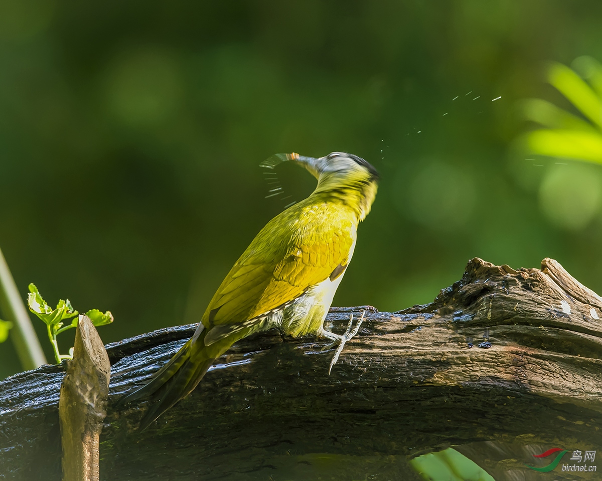 _DSC3354---07-05AC--20TTT.jpg