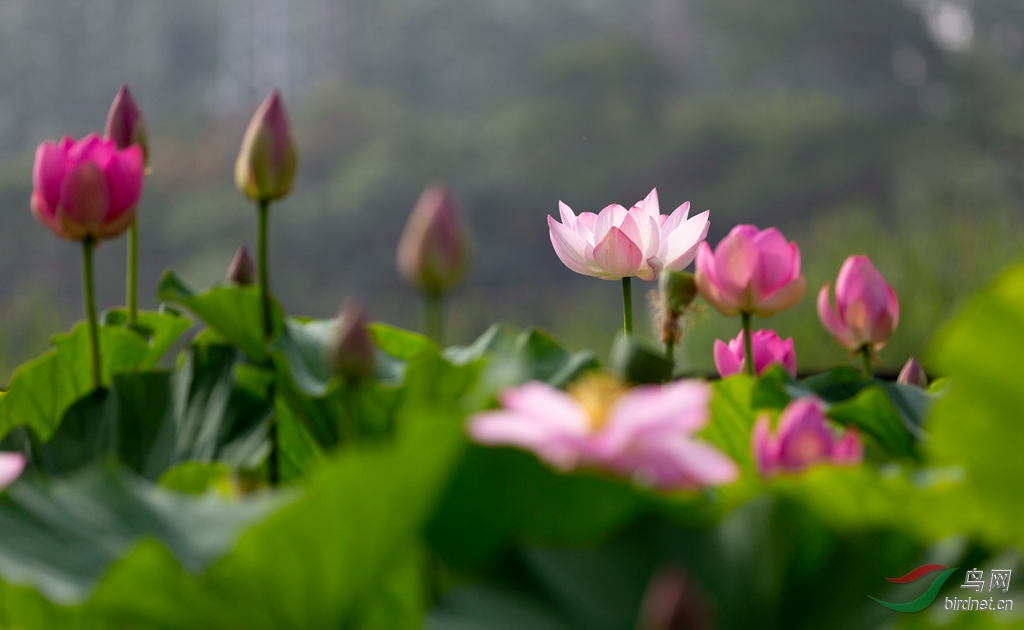 _16A7604  01_����.jpg