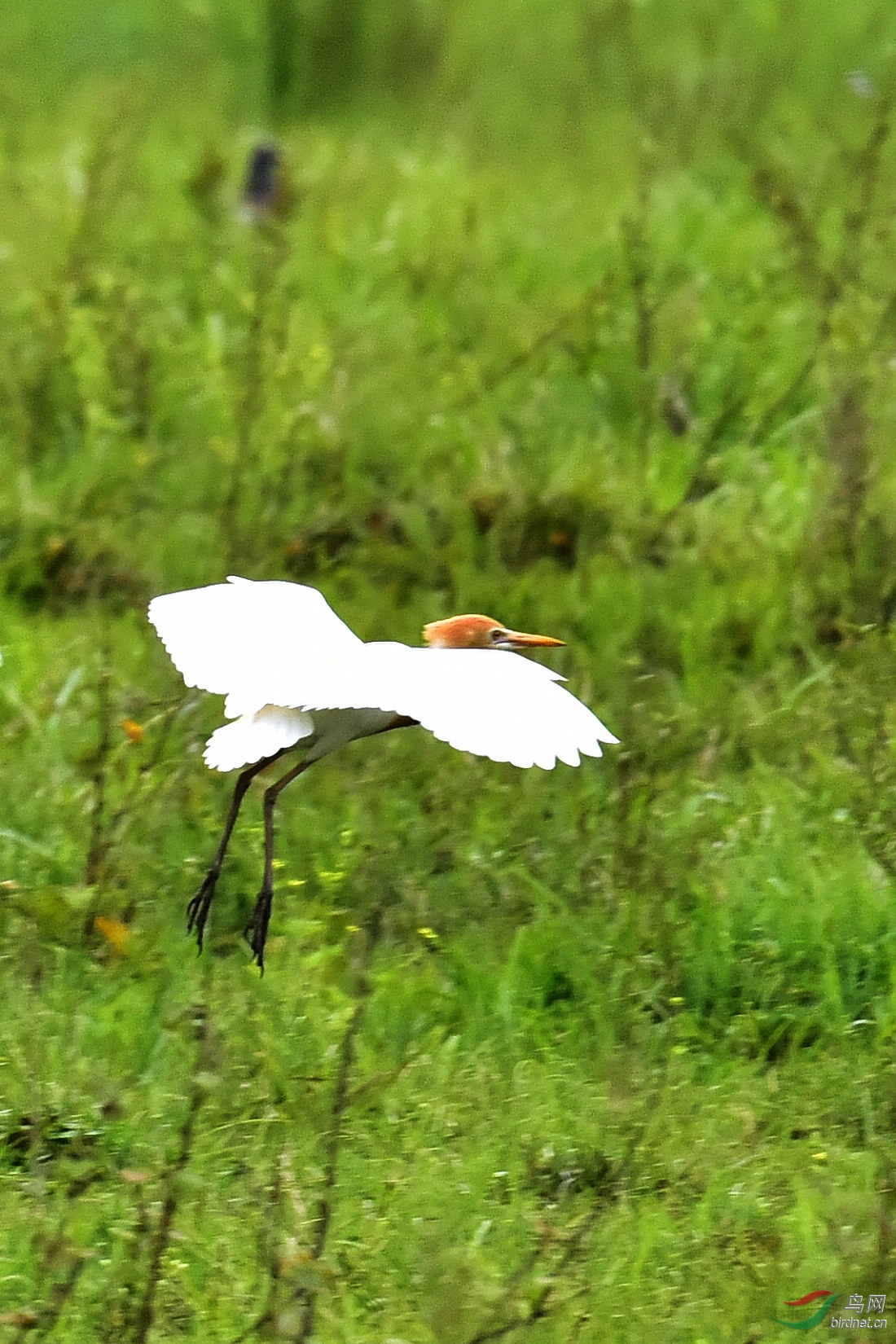 DSC_0976.JPG