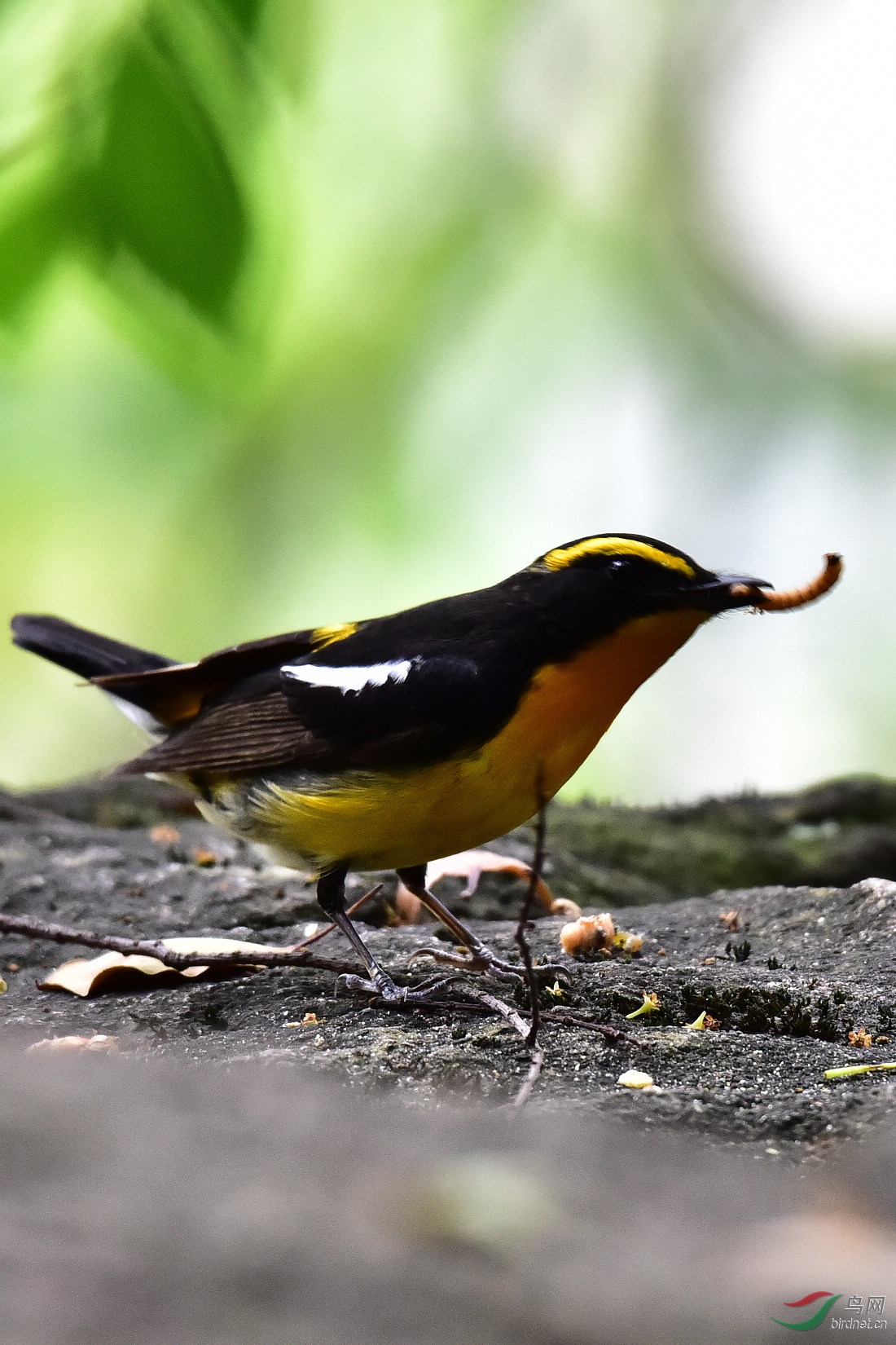 DSC_0496.JPG