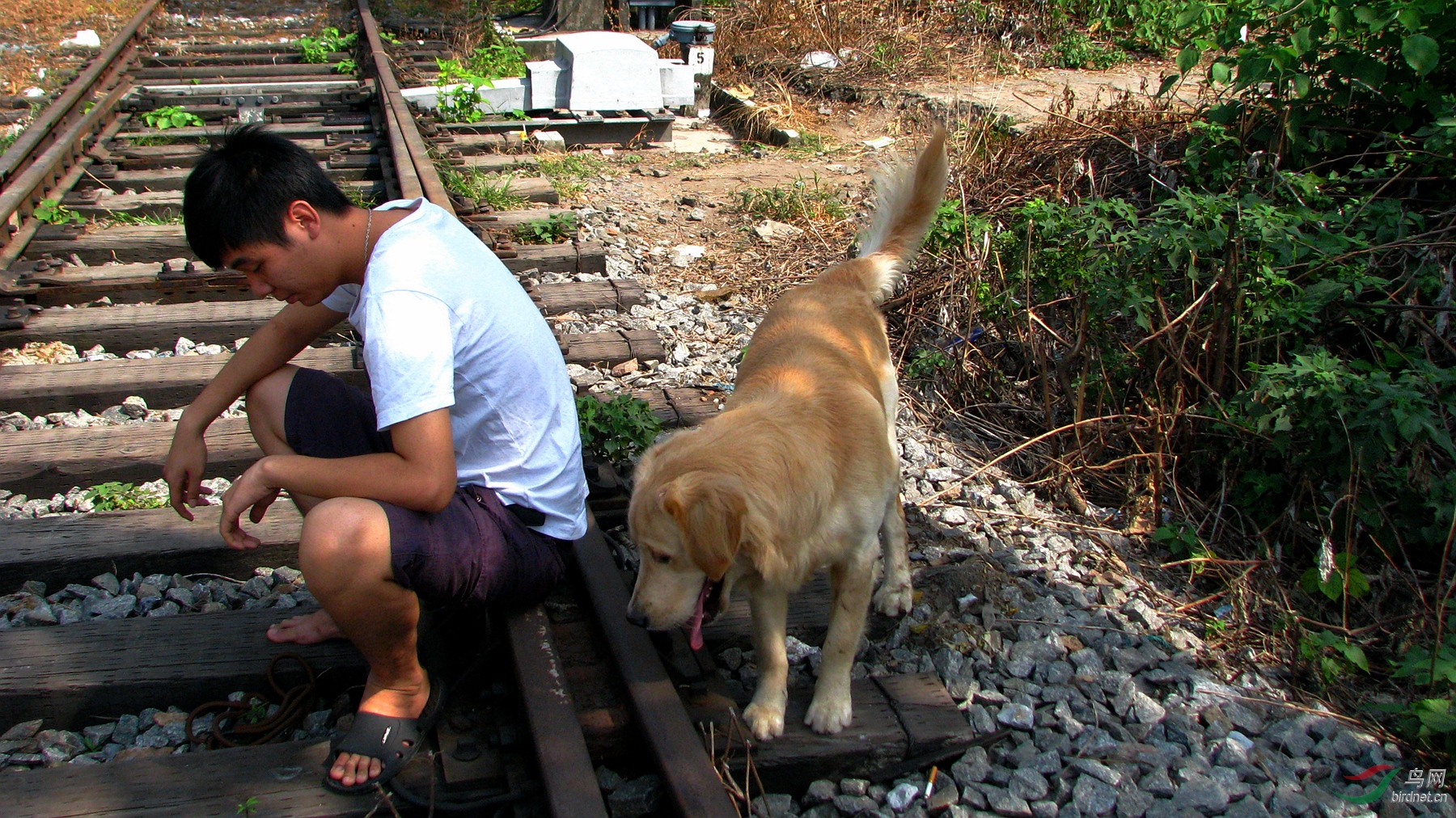 1 2466_����.jpg