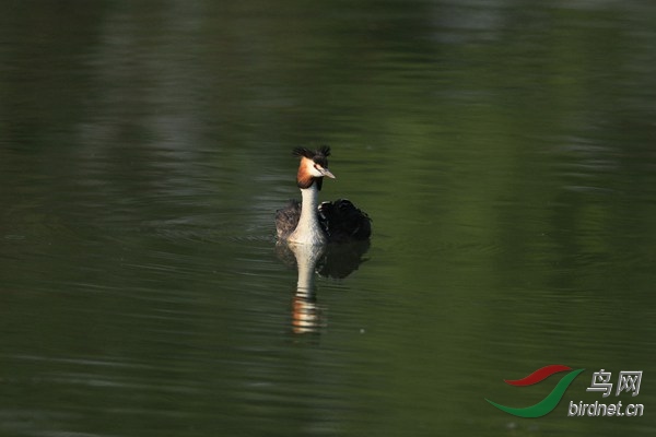 pta26.jpg