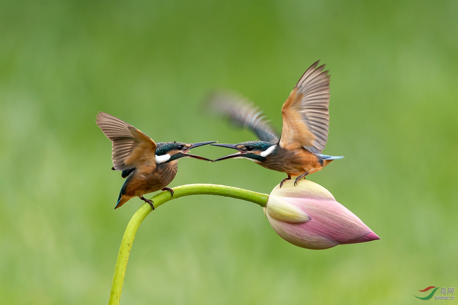 sdly190713_4877 ����.jpg