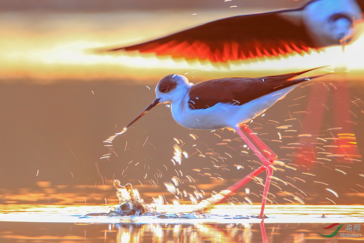 ����֮��