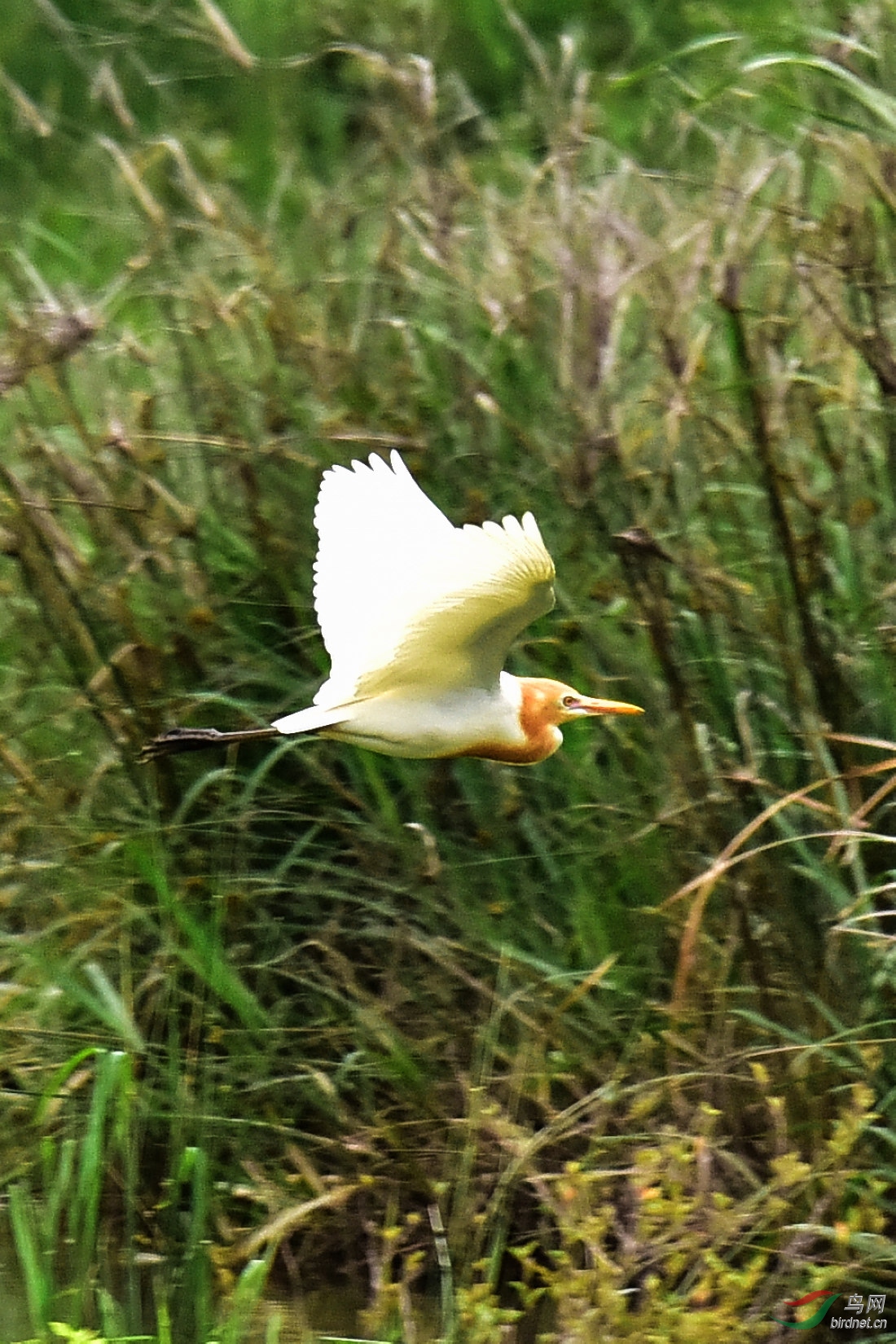 DSC_0981.JPG