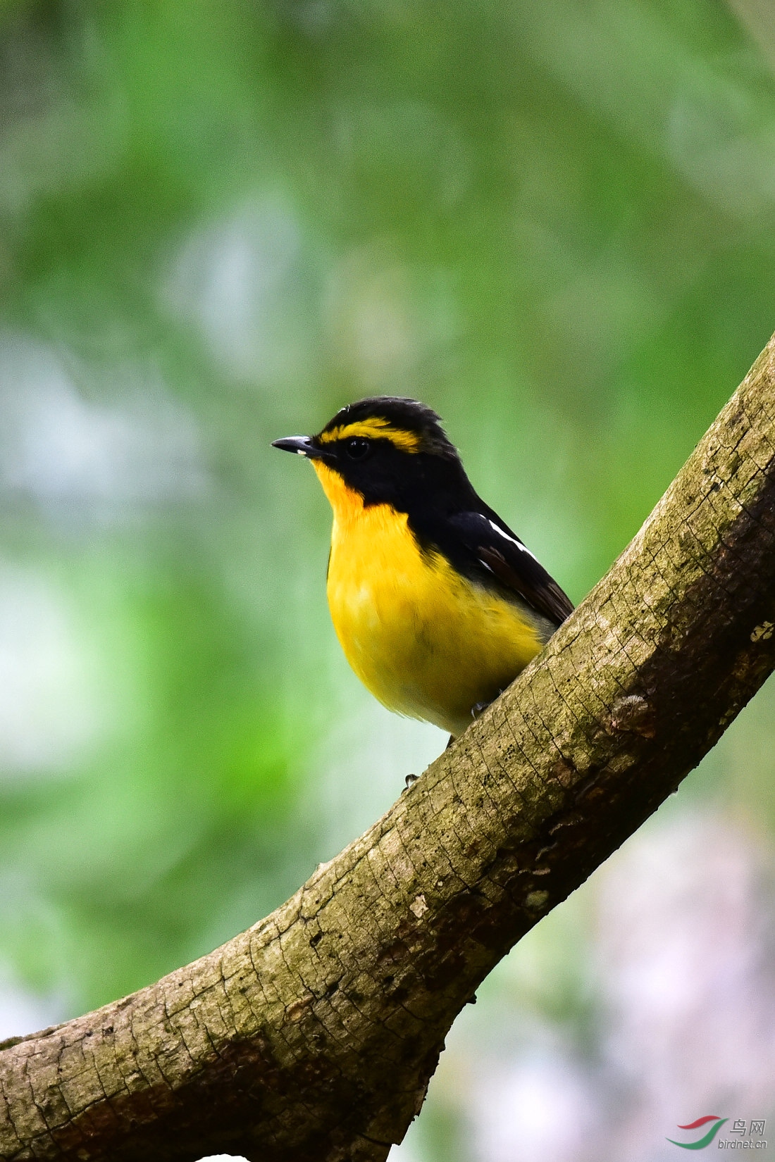 DSC_0502.JPG