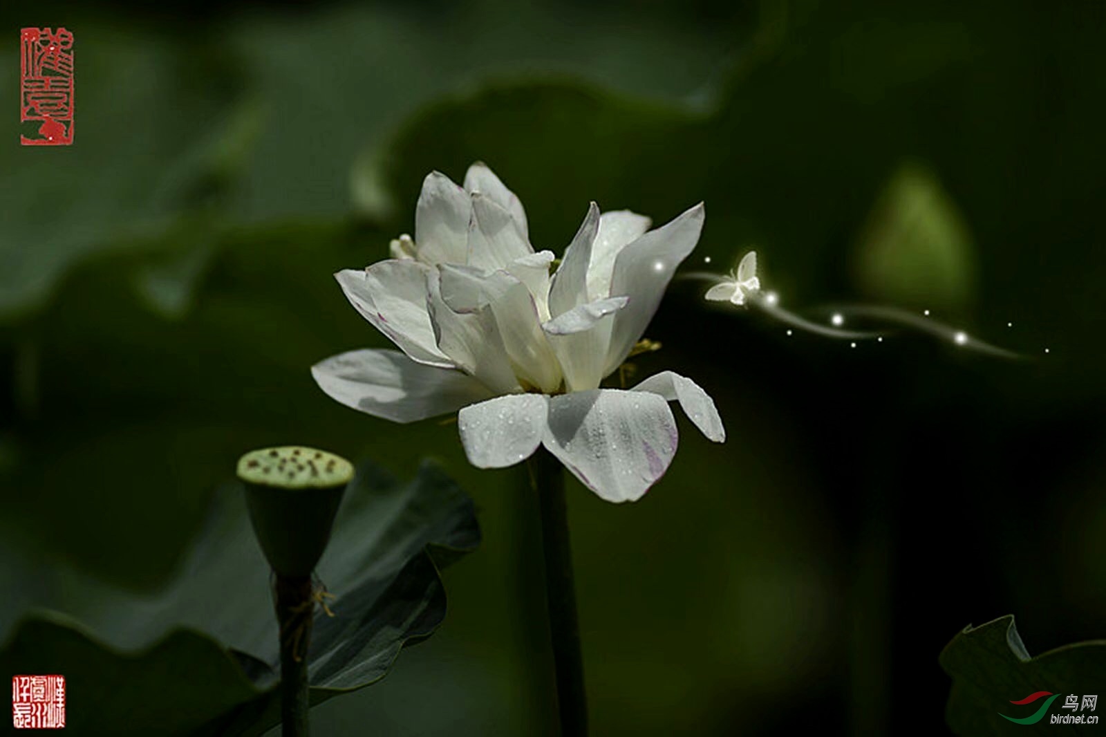 D1C606B8-C638-4092-BE7D-34CEE7FB3046.jpeg