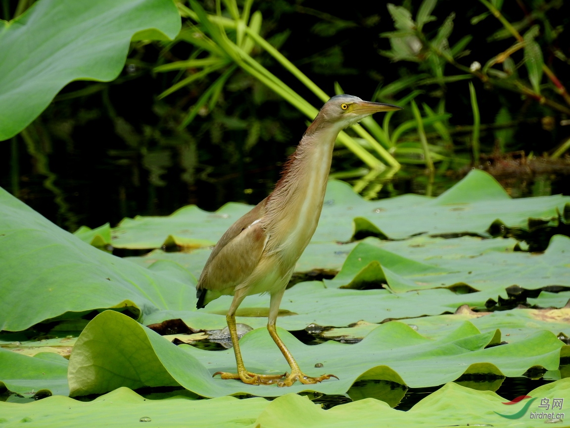 DSCN6028.JPG