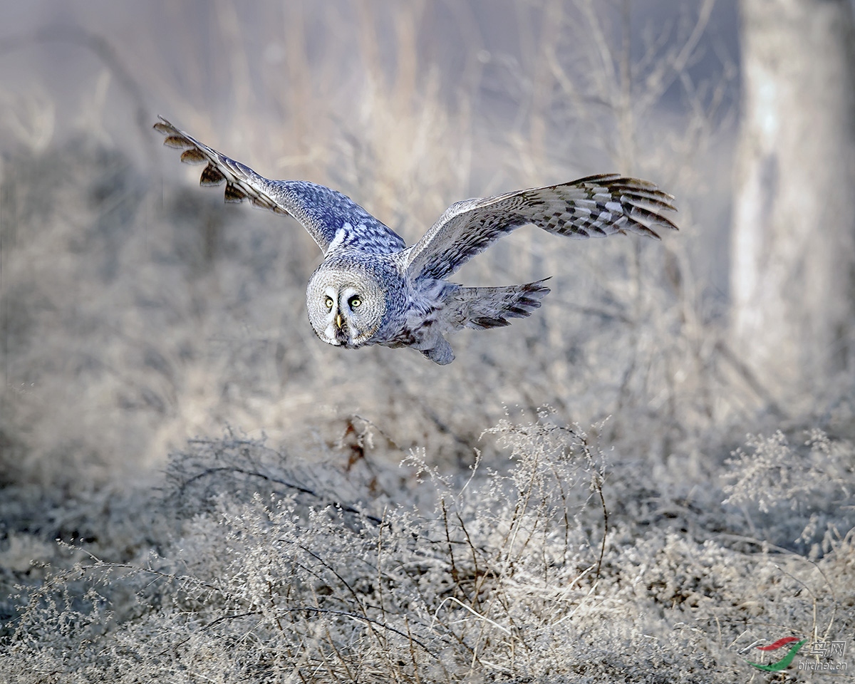 _DSC3289---06-29S--21TTT.jpg