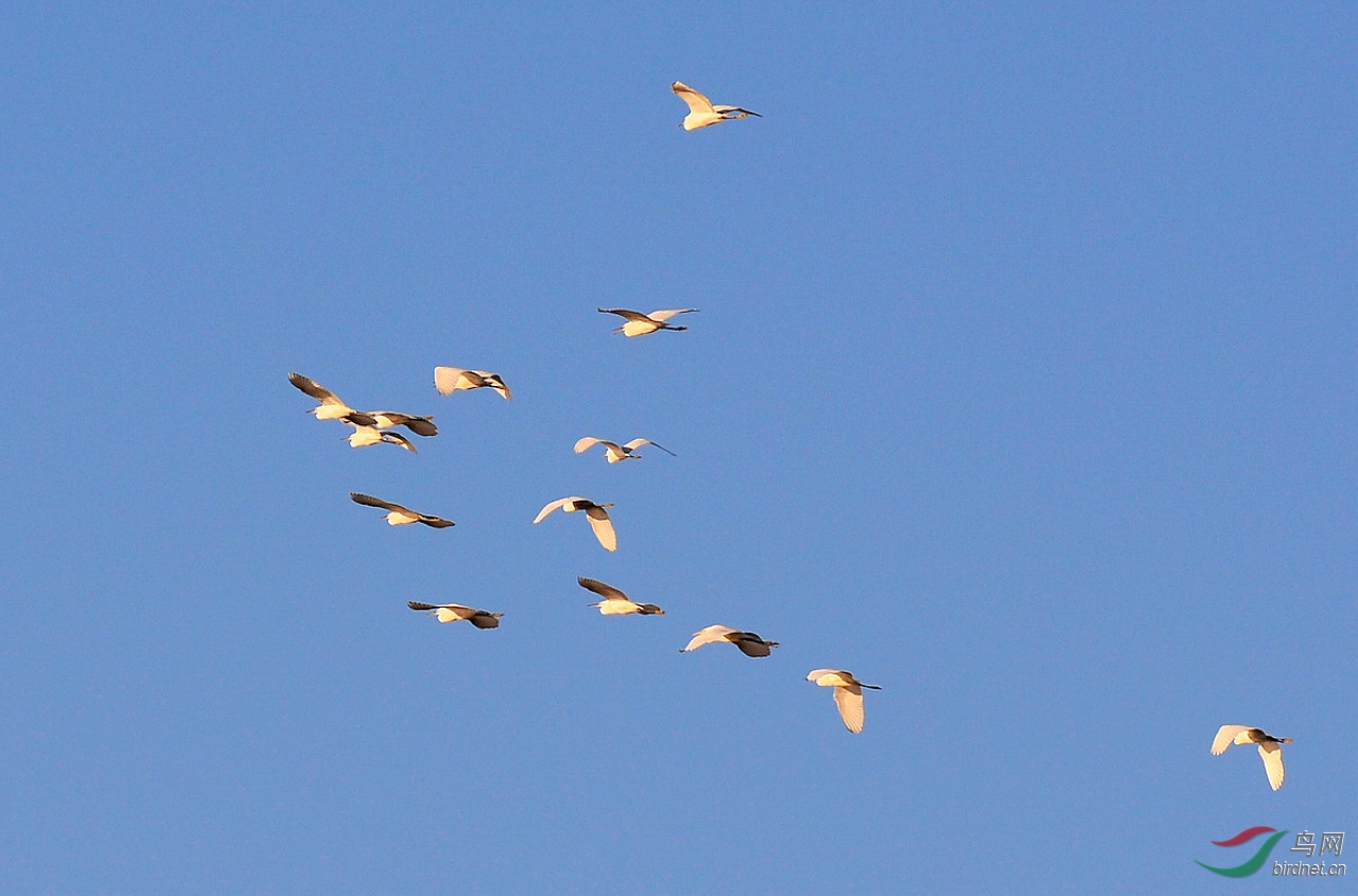 DSC_4432.JPG