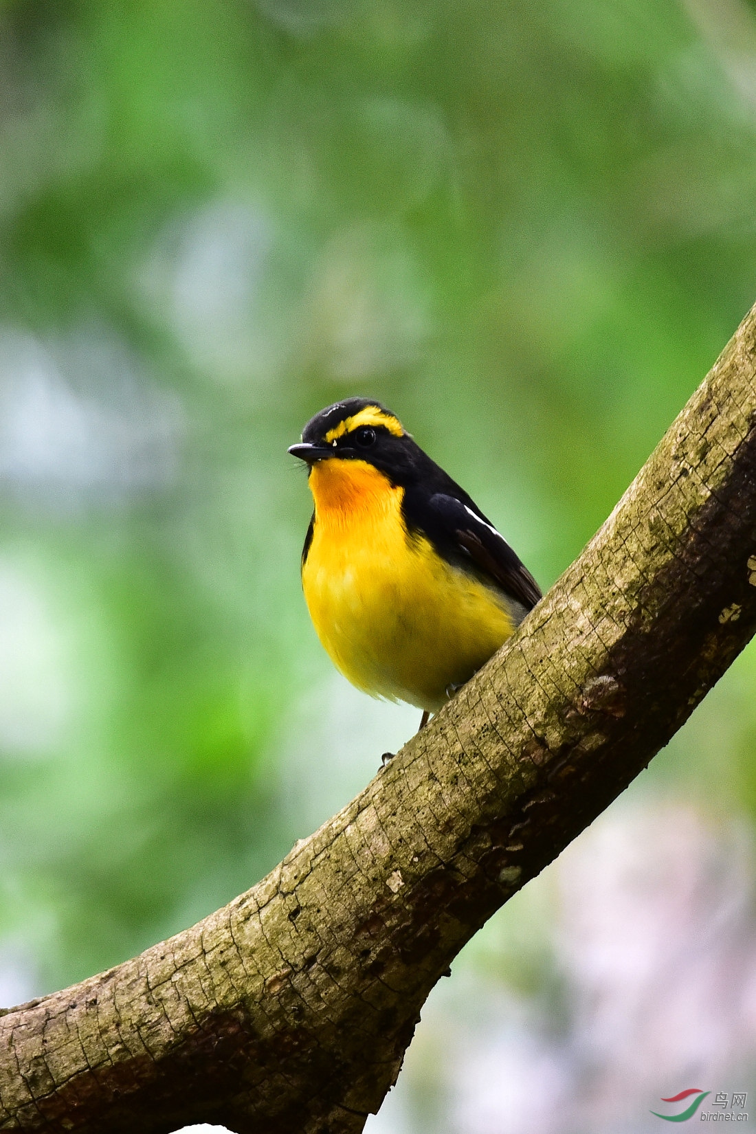 DSC_0506.JPG
