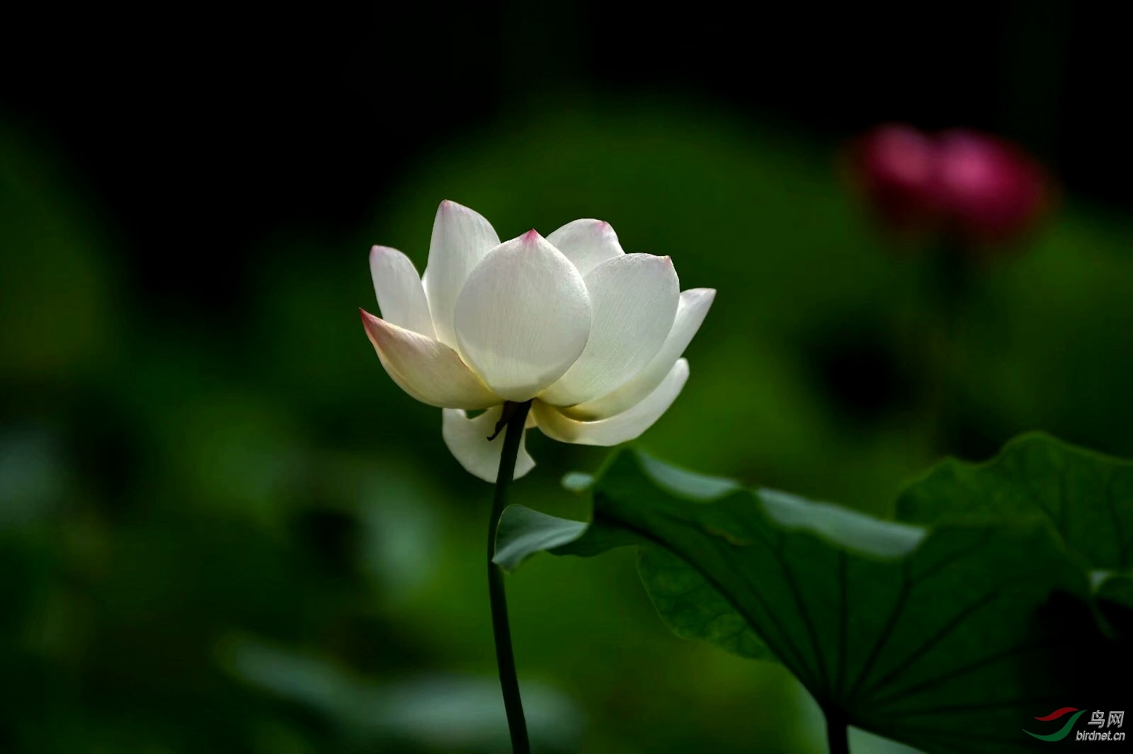 0880F900-71BD-4F08-8275-F604B6DED1E2.jpeg
