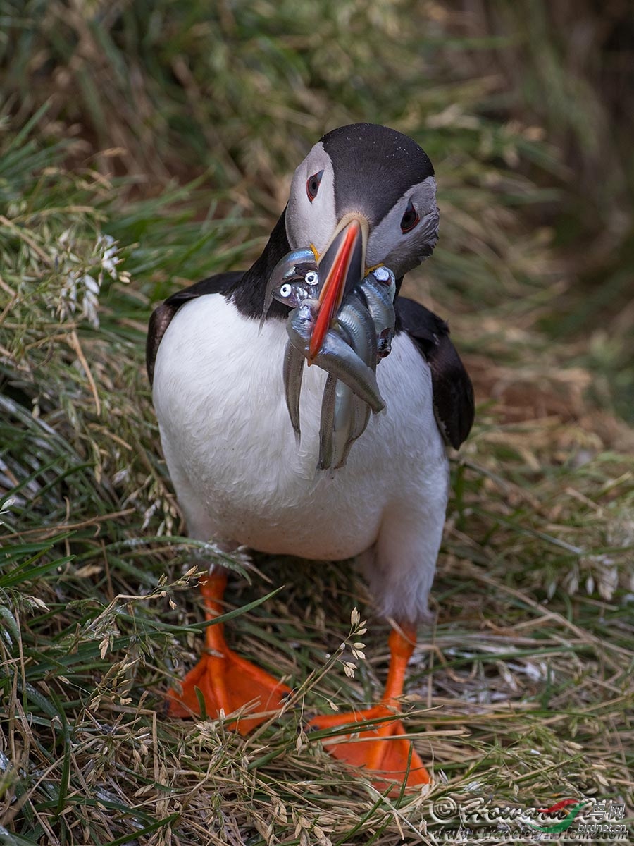 �������У�������