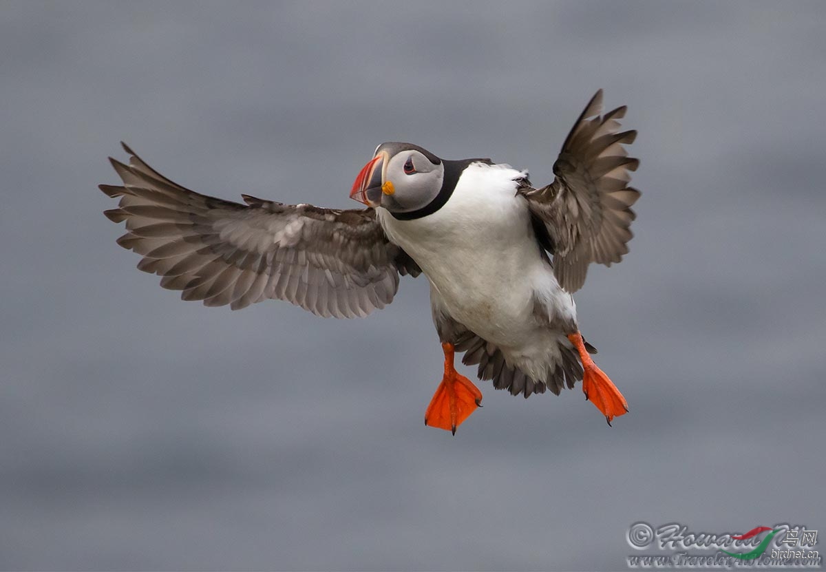 �������У�������