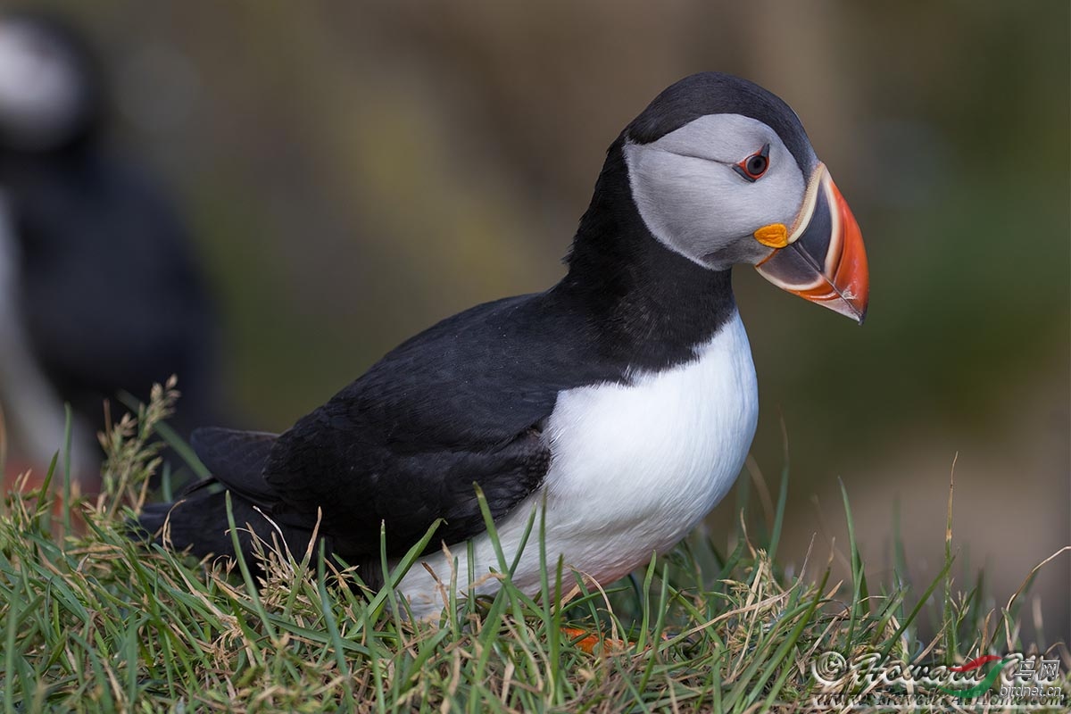 �������У�������