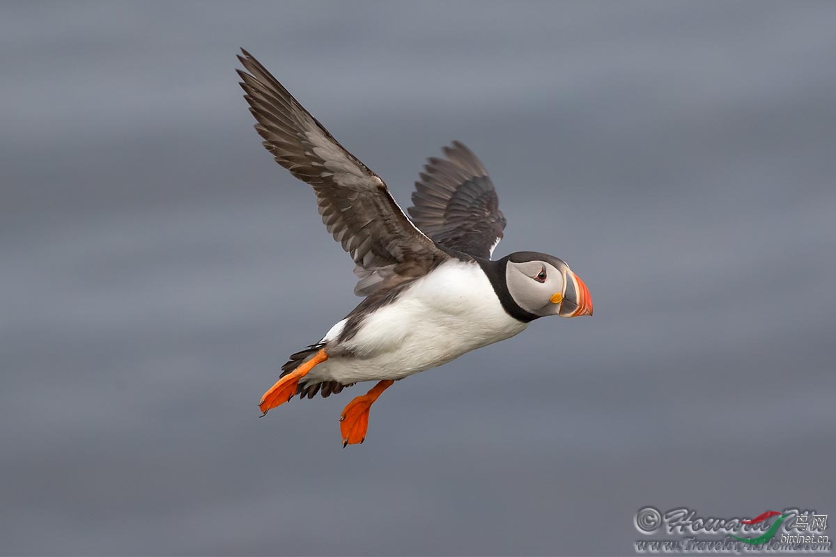 �������У�������