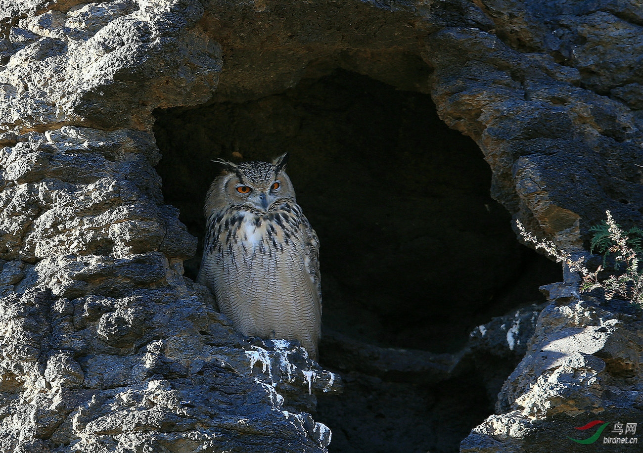 A 1438 ����.jpg