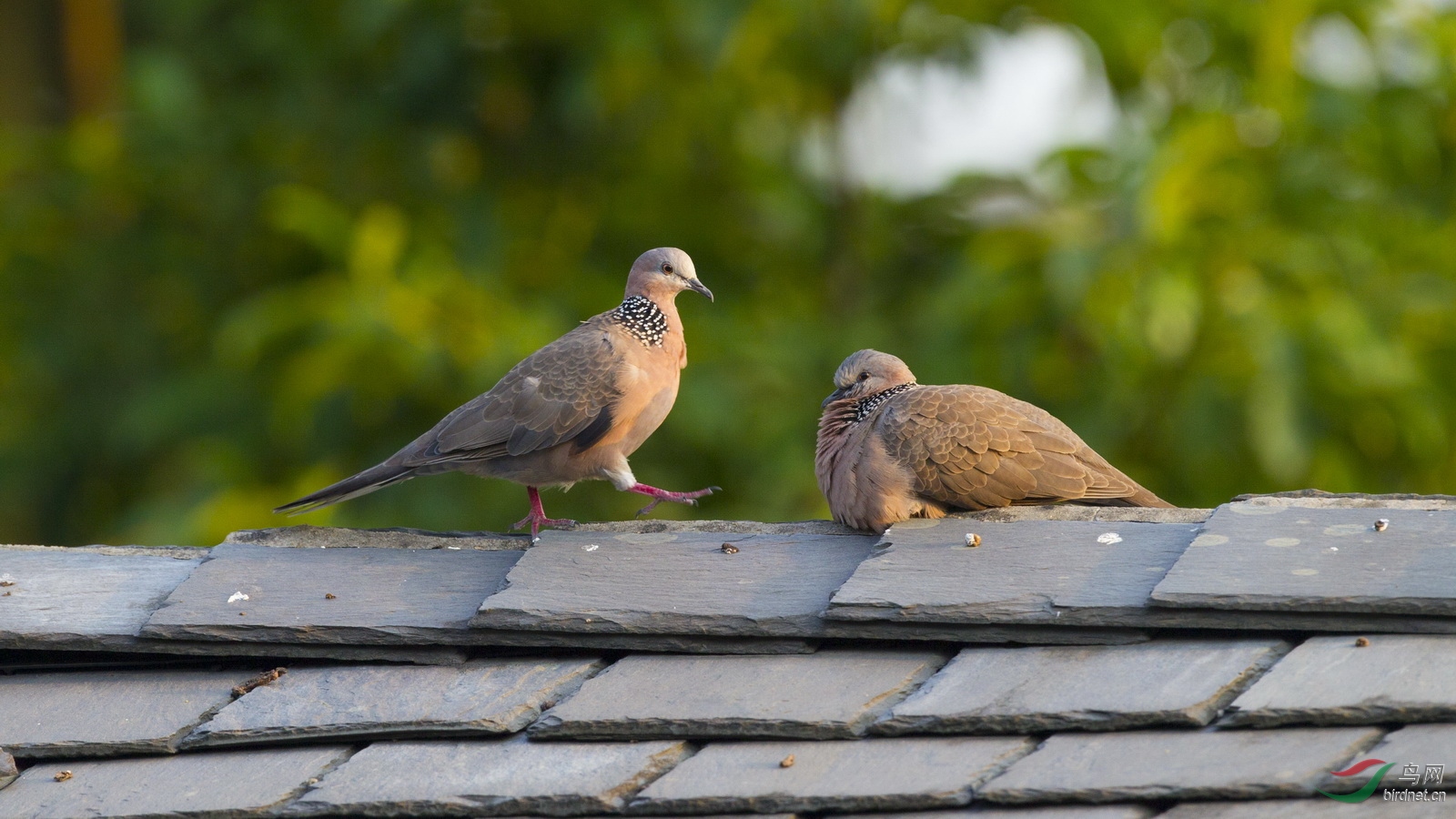 ��������ǰ��