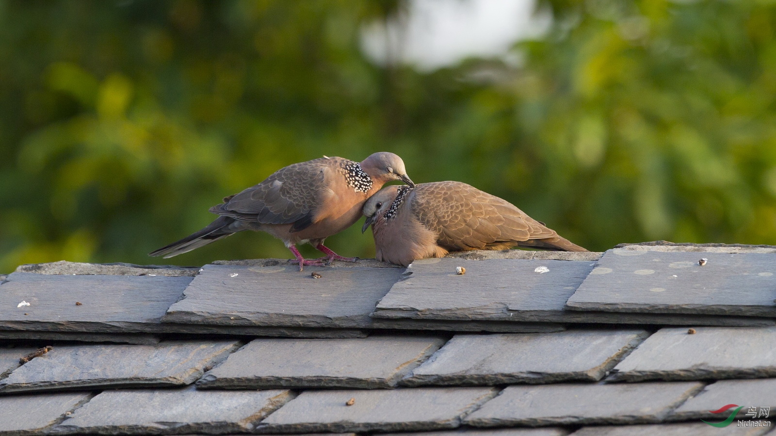 ���ǿ�ʼ����