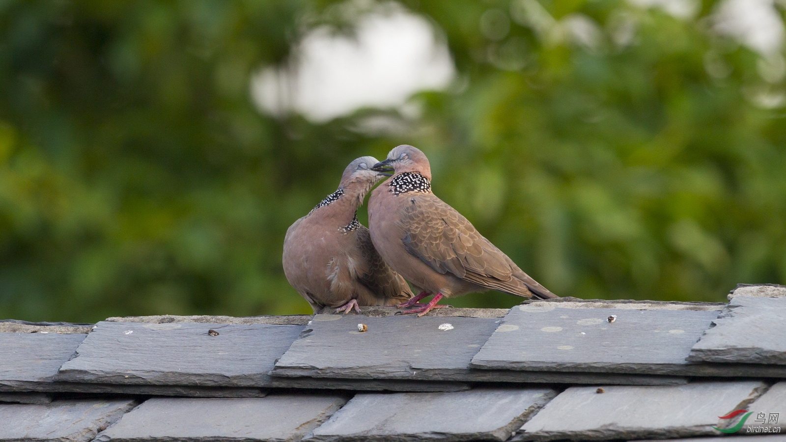 ���һ�����ܵ�����