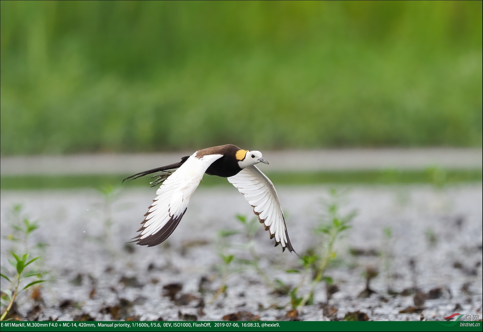 2019-07-06 16-08-33ˮ��223_cr.jpg