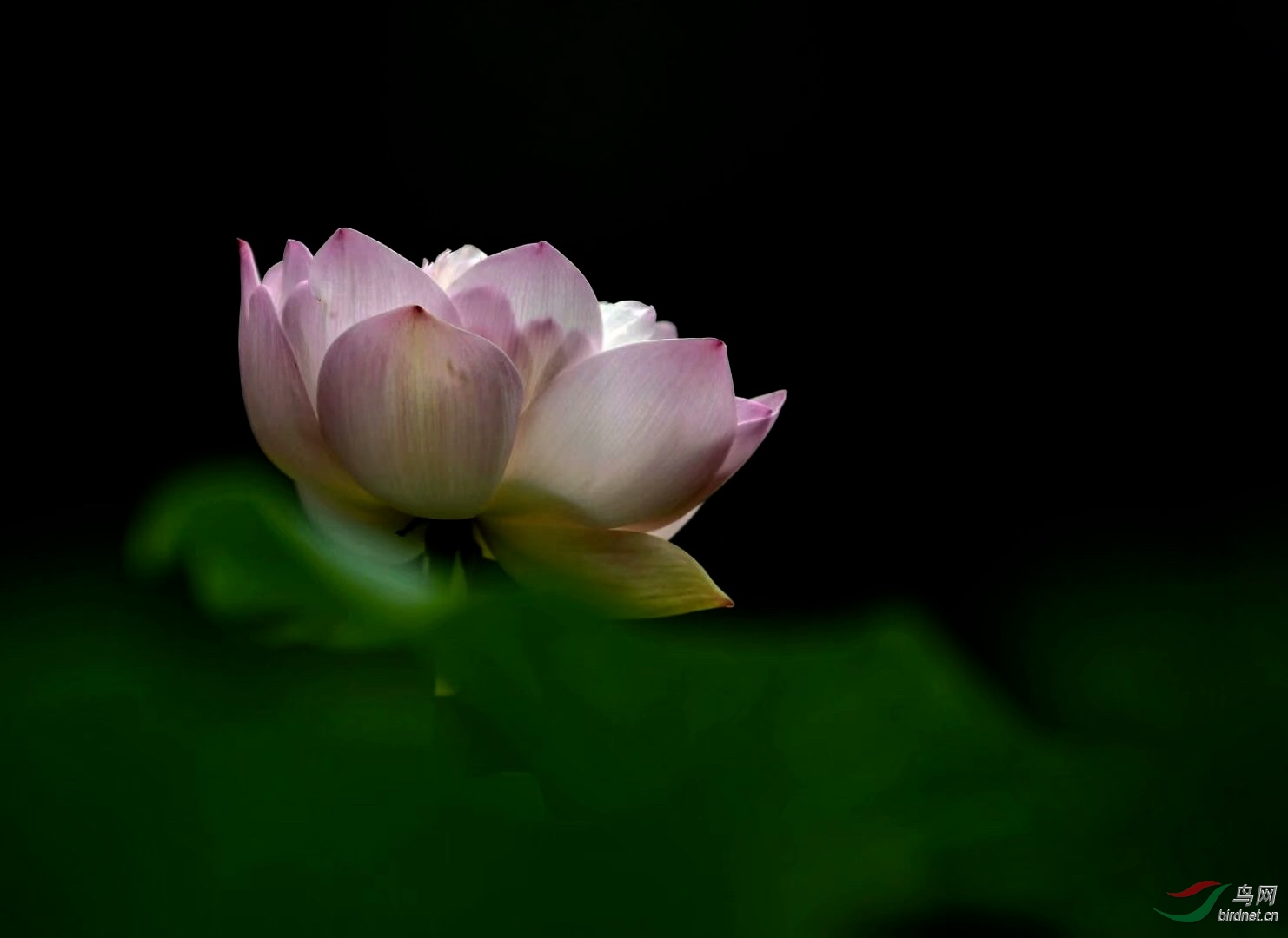 A45E0260-A235-430A-832A-4D41FB8A492D.jpeg