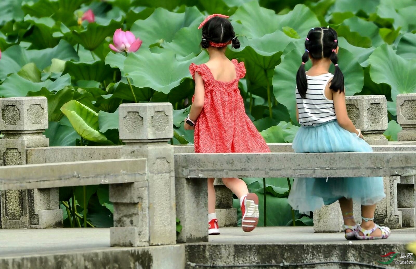 CF30689C-2D57-43F3-8BDD-64A3C8077675.jpeg