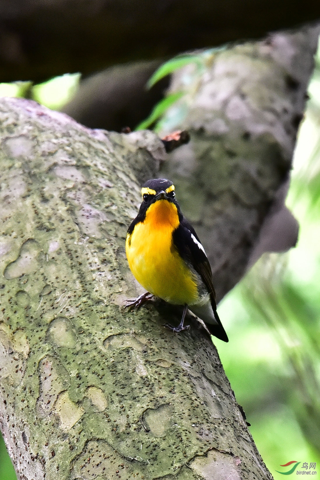 DSC_0527.JPG
