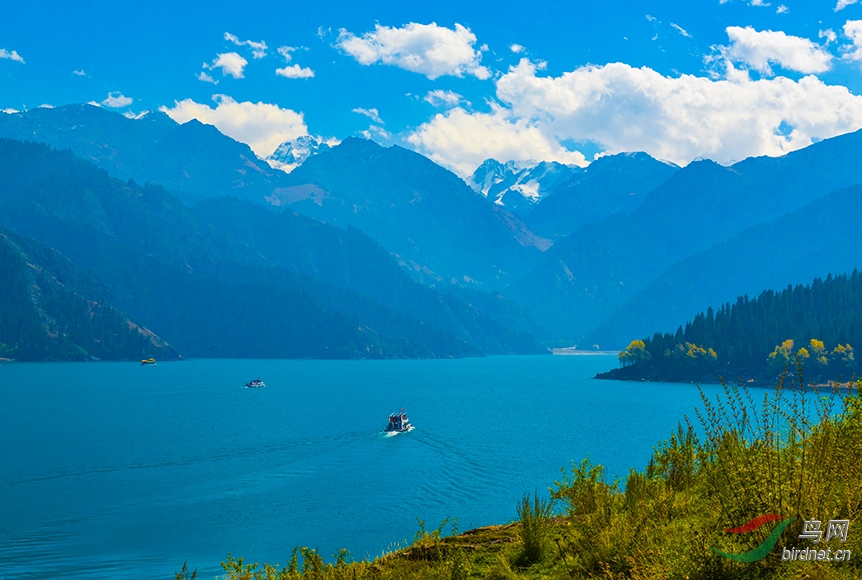 DSC_1310-2.jpg