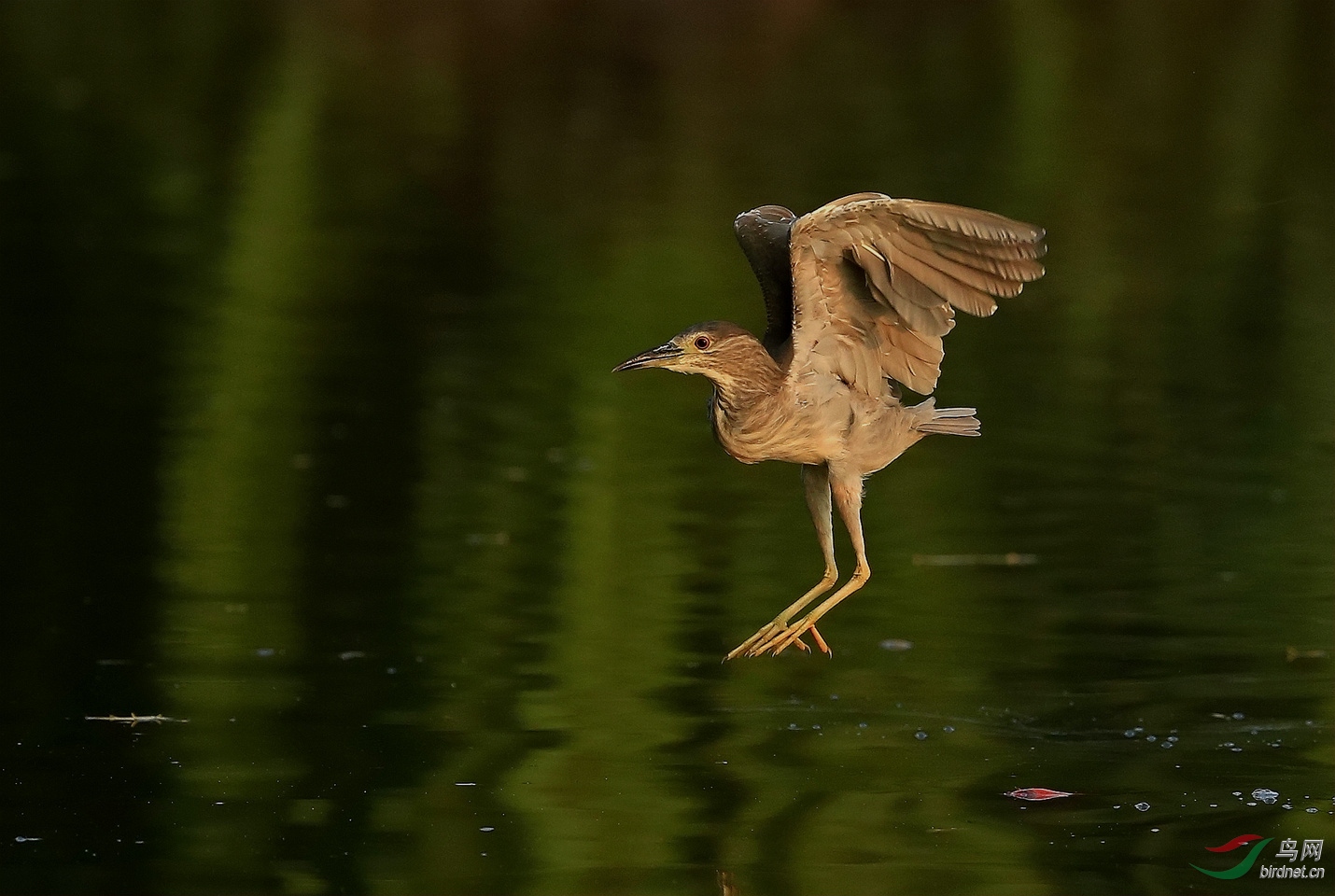 _I8T9961 (2)_����.jpg