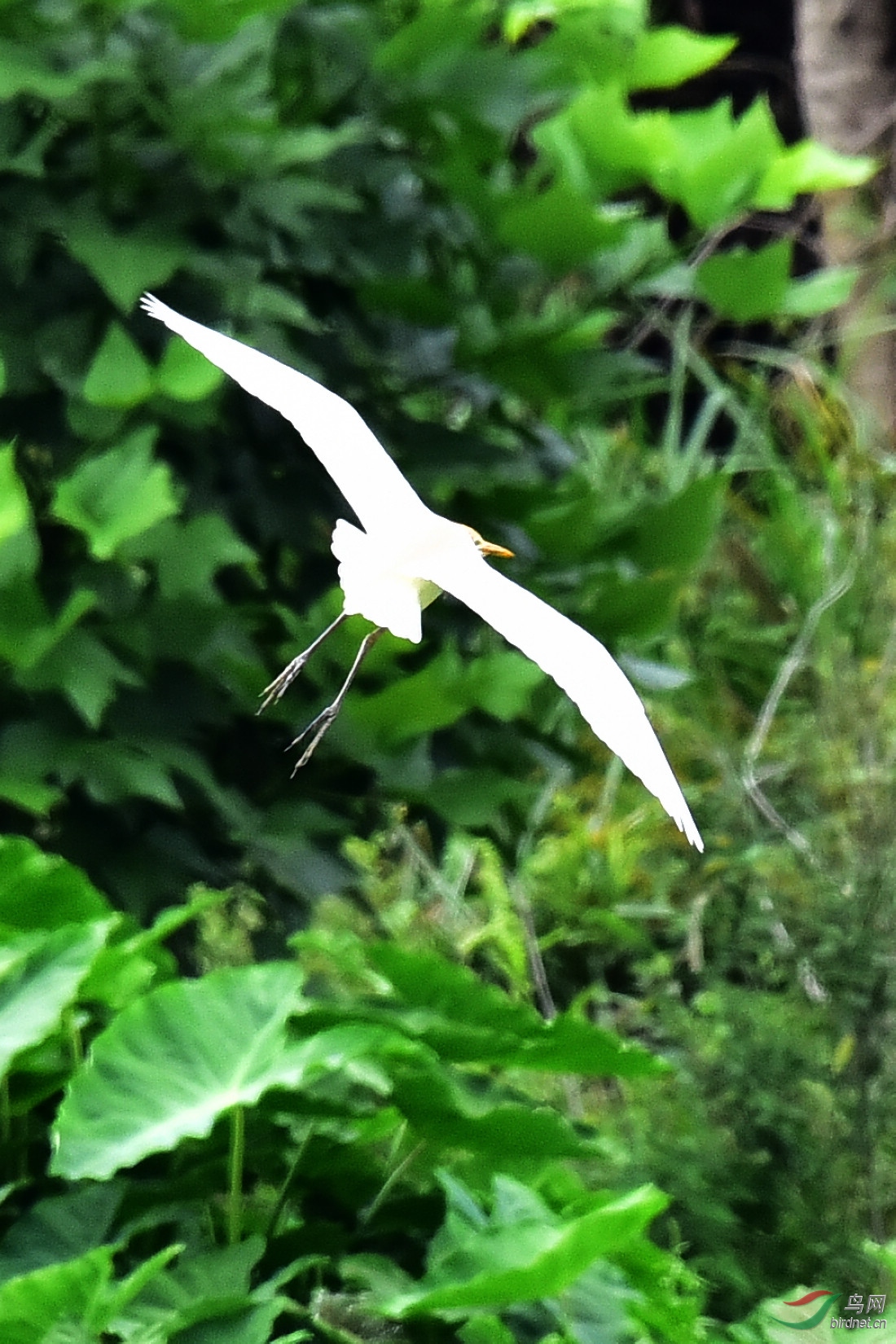 DSC_1010.JPG