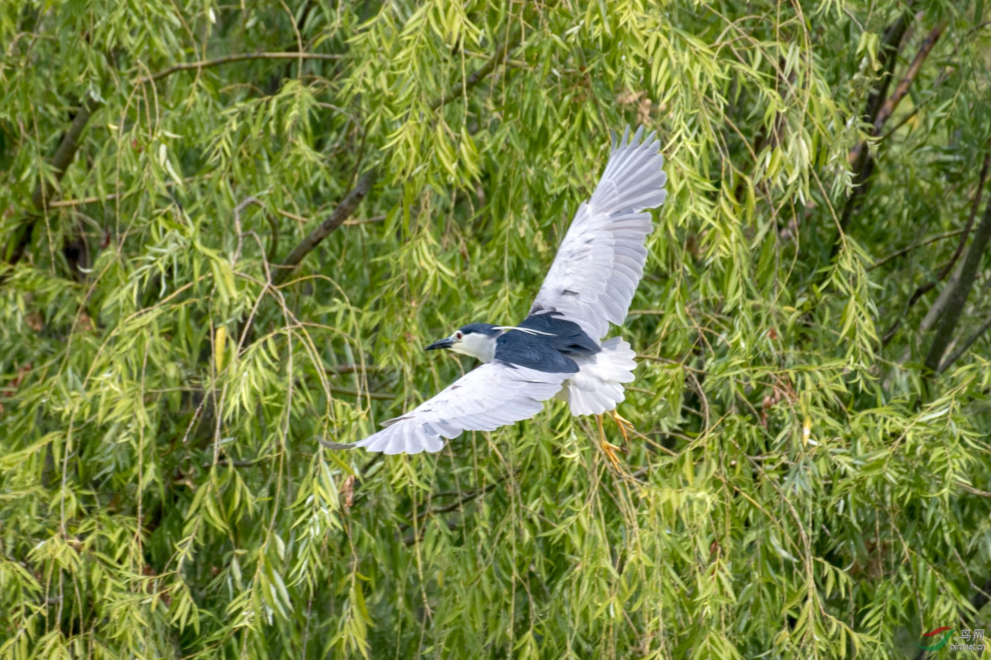 D85_8347.jpg