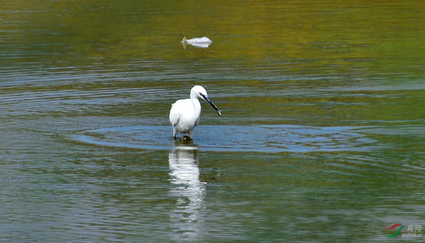 DSC_4550.JPG