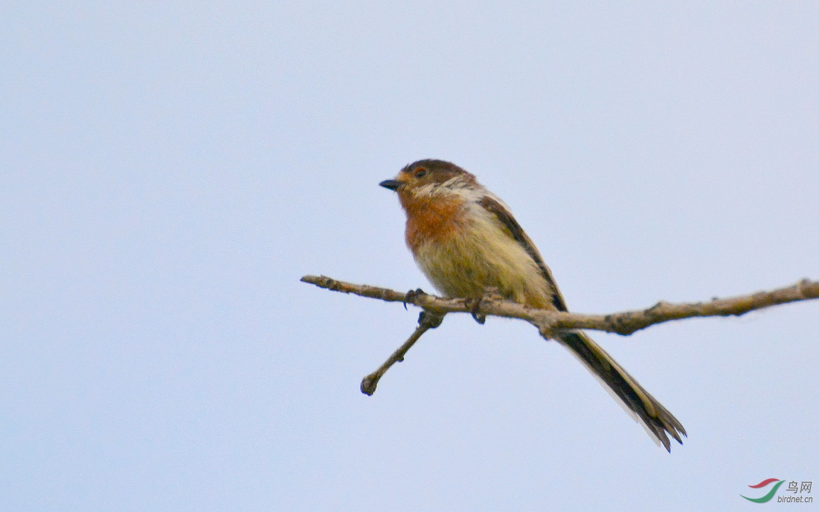 DSC_9204.JPG