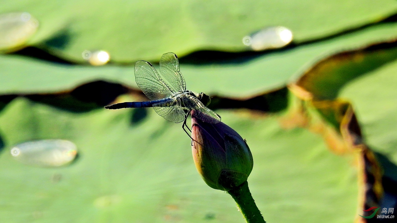 DSCN9227.JPG