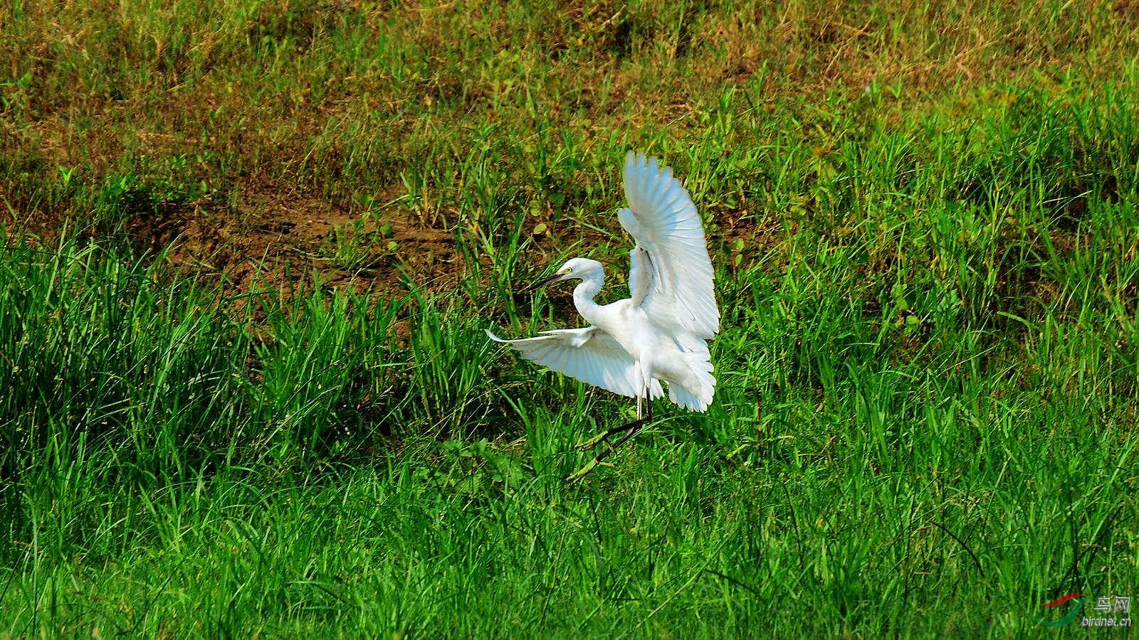 DSC_7174.JPG