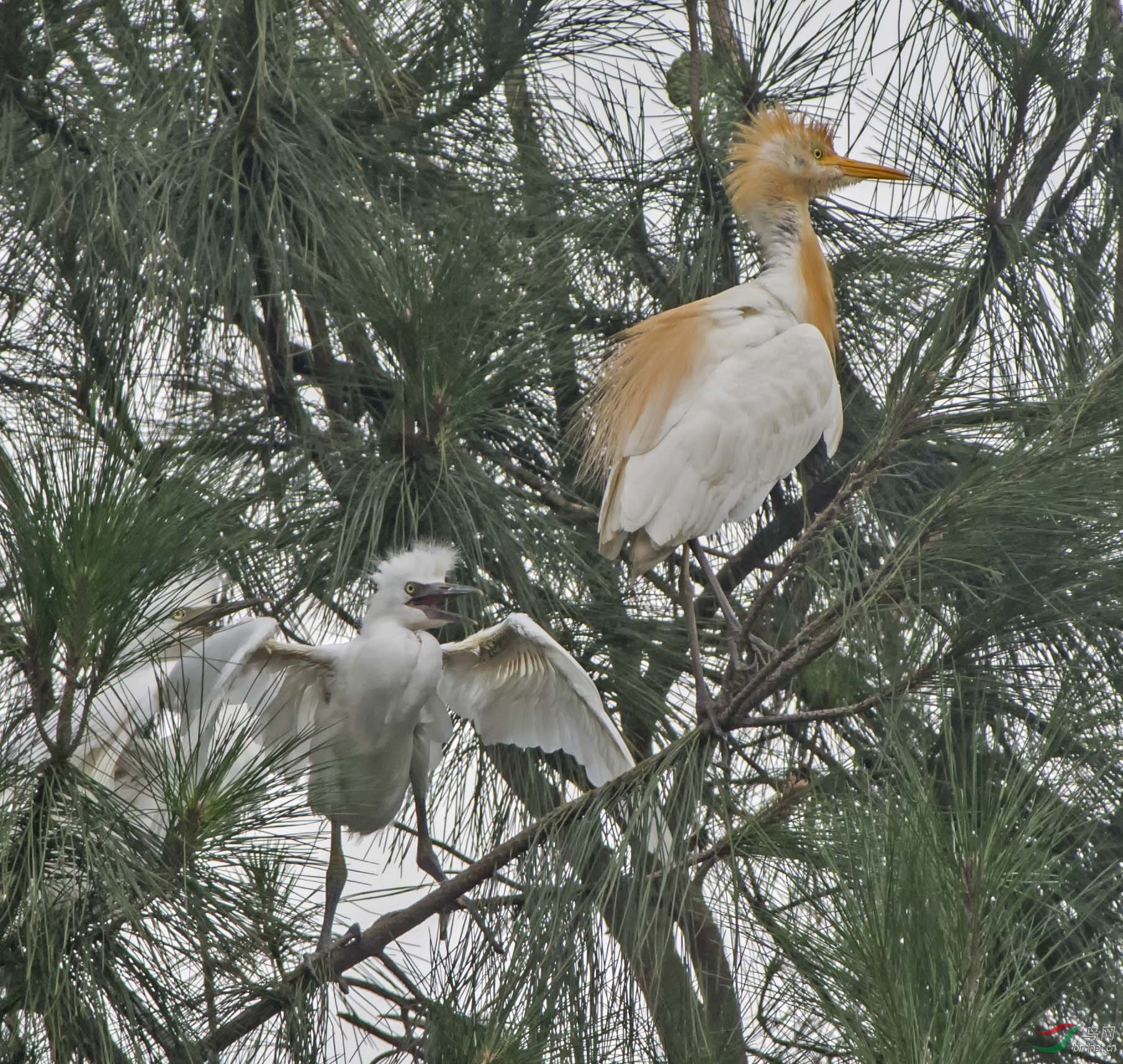 DSC_6518.jpg
