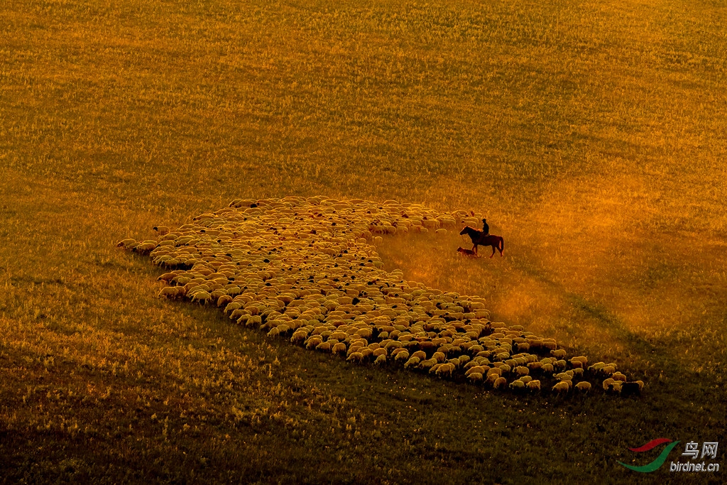 _K8I6362  02_����.jpg