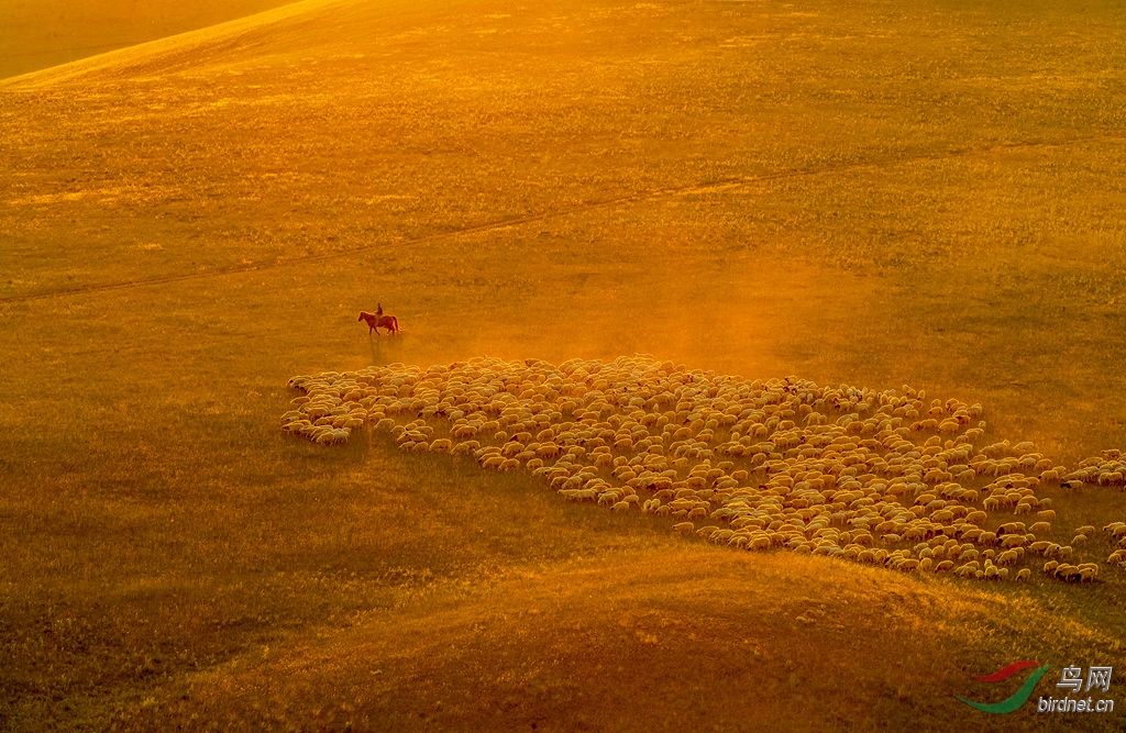 _K8I6375  03_����_����.jpg