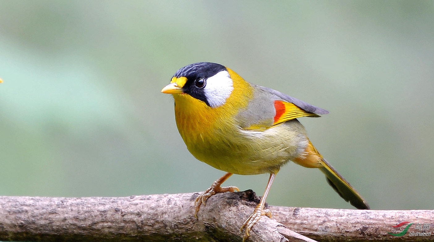 DSC_2404.JPG