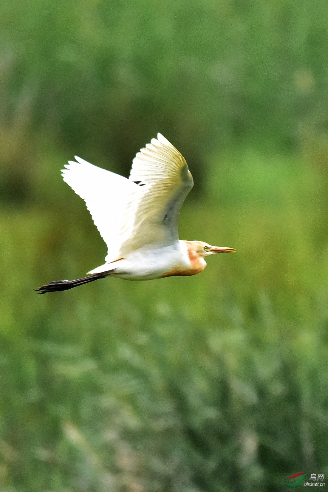 DSC_1013.JPG